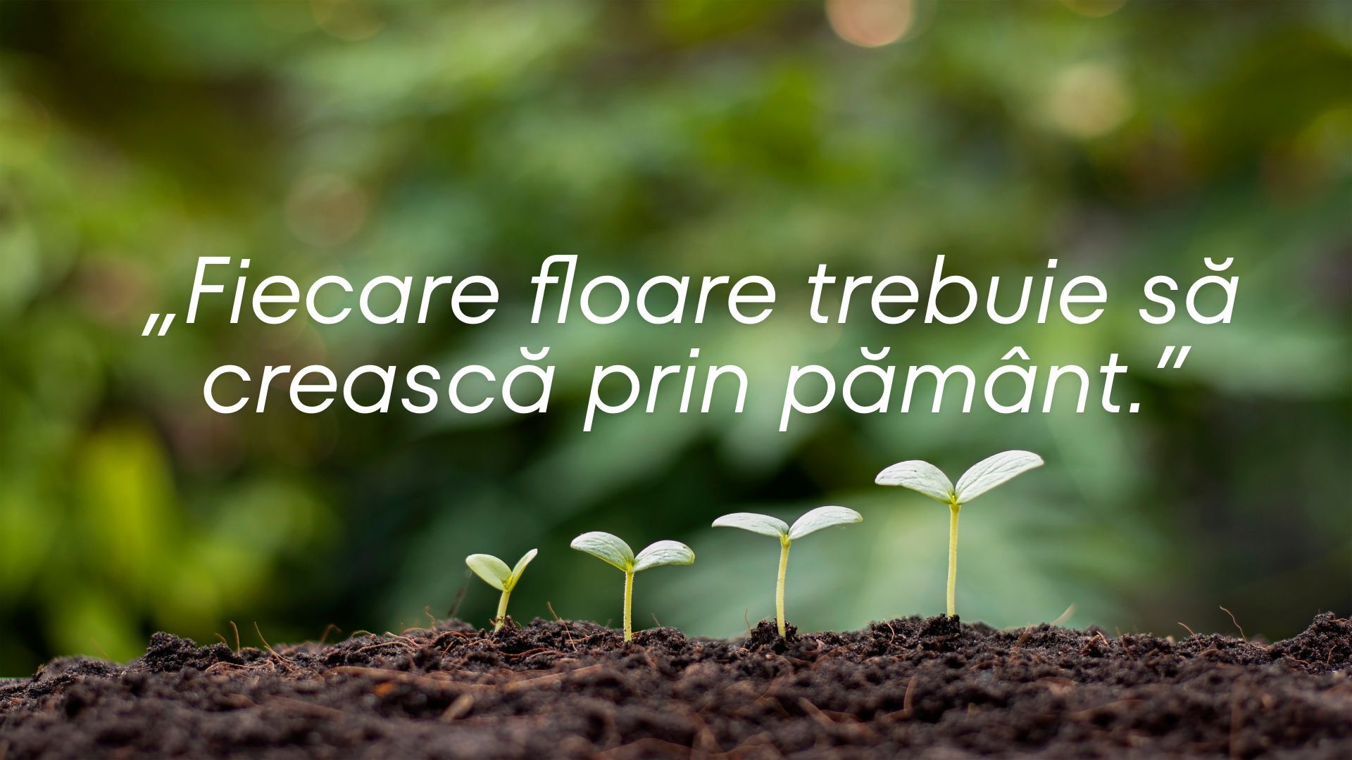 Citate motivaționale